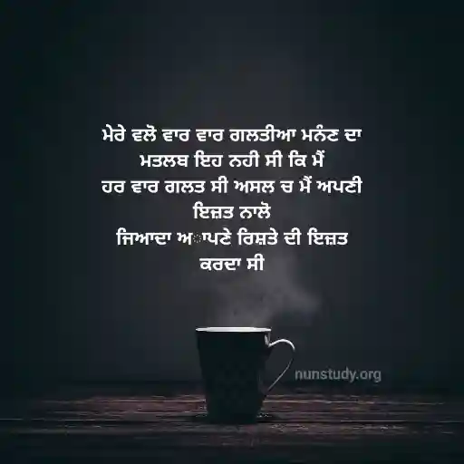 Sad Quotes in Punjabi - Sad Status Punjabi
