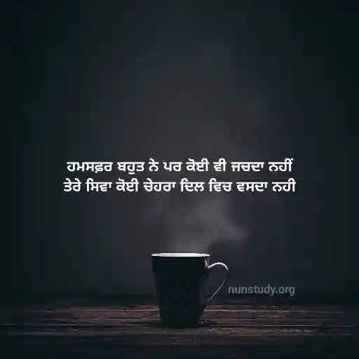 Sad Quotes in Punjabi - Sad Status Punjabi
