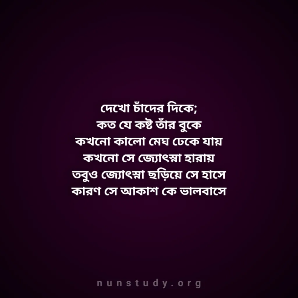 Bengali Love Status