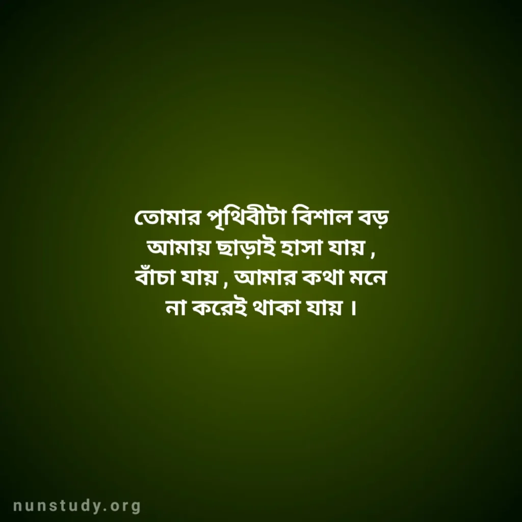 Attitude Captions in Bengali
