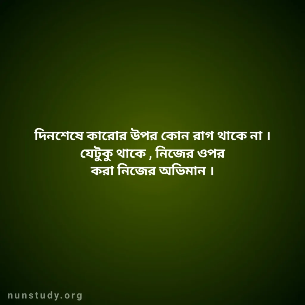 Bengali Attitude Captions