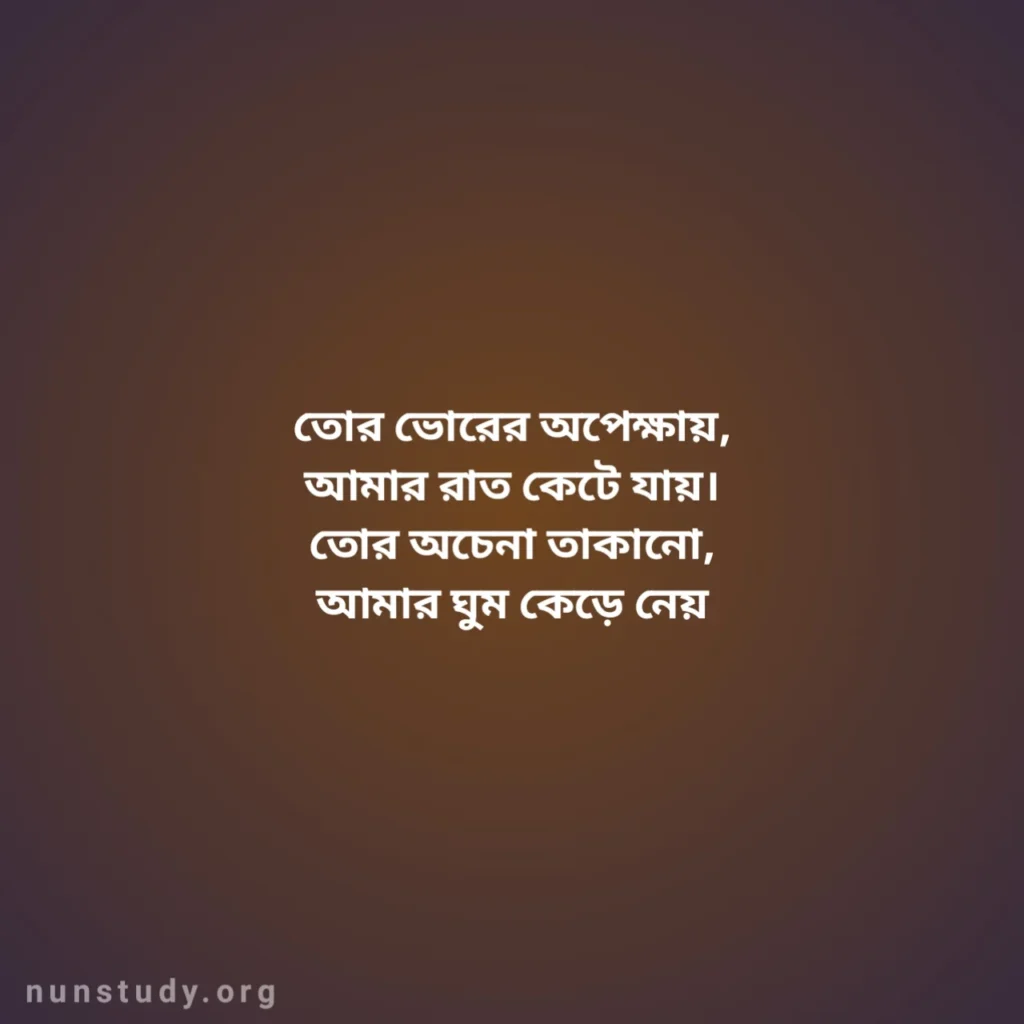 Bengali Caption Romantic